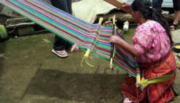 weaving-quetzals