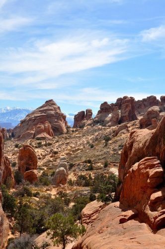 Utah: A Devil Of a Hike in Arches National Park 5 Looking out from the top of a Fin on the Devil's Garden trail in Arches National Park
