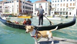 Falco standing in front of the romantic gondala in Italy. Paul Wojnicki Photos.