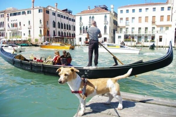 Falco standing in front of the romantic gondala in Italy. Paul Wojnicki Photos.