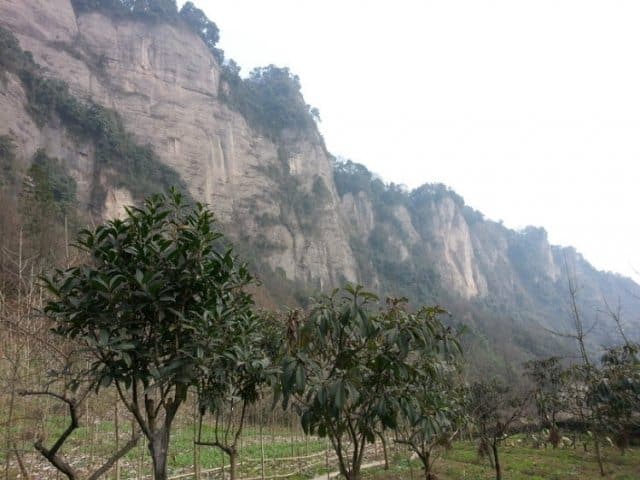 Mt. Qingcheng in China - a place of solitude. Cheng Wang Photos. 