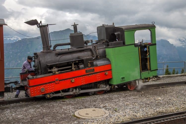 Hotel Edelweiss, in the Swiss Alps 7 Steam Cog Train