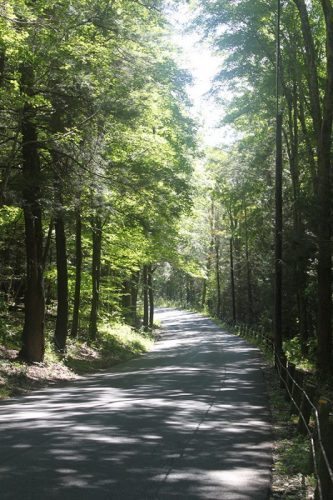 The New England Greenway trail starts in New York and ends in Canada
