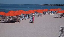 beachumbrellas