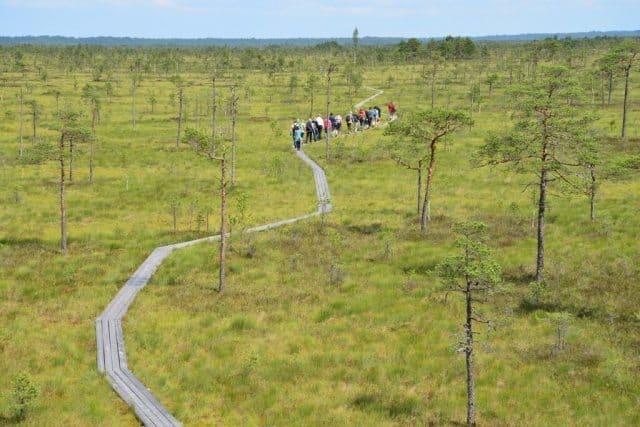 Estonia: Wandering through Soomaa National Park 4 Nicknamed the Wilderness Capital of Estonia, Soomaa stands out as one of Europe’s most unique biologically diverse floodplains.