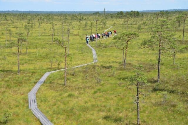 Nicknamed the Wilderness Capital of Estonia, Soomaa stands out as one of Europe’s most unique biologically diverse floodplains. 