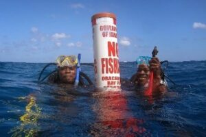 Jamaica: Volunteering to Help Save the Reef marker