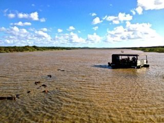 A hippo and crocodile tour in a wetlands park is on the agenda.