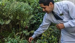 ecuador-well-deserved