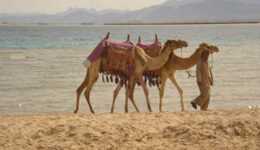 egypt-exotic-resorts