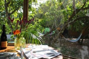 Paradise: an Organic Retreat in Florida paradise-organic