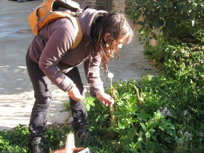 Sophie picks watercress.