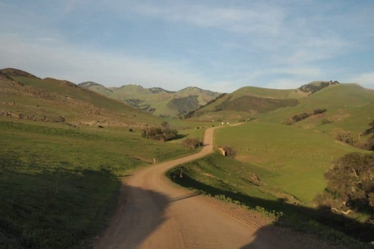 Edna valley hills, outside of San Luis Obisbo, California. Max Hartshorne photo.