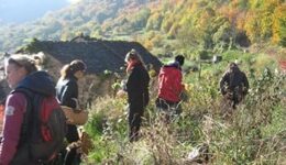 france-exploring-cevennes