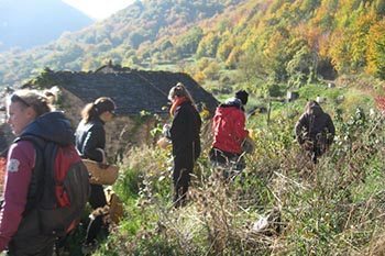 france exploring cevennes