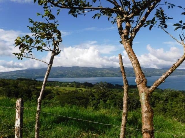 Overlooking Lake Arenal. 