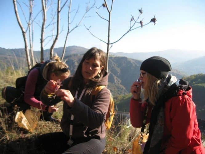 Sophie shows us how to identify wild thyme.