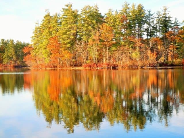 Little Ossipee lake is on Route 5 in East Waterboro, about 15 minutes from Gneiss Brewing.