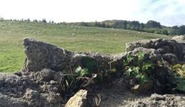 ireland-rugged