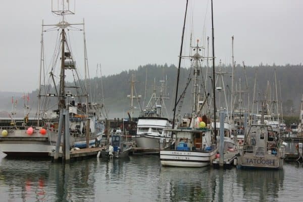 La Push harbor.