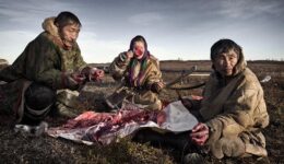 nenets_in_siberia