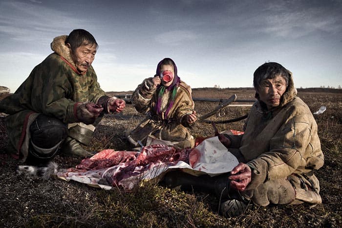 Nenets in Siberia. The family slaughters reindeer every couple of weeks, eating it raw and with pasta.