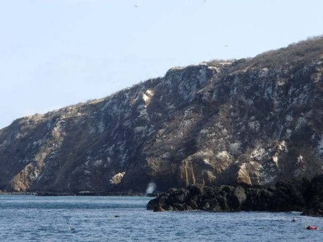 Ecuador: Boobys and More on Isla de la Plata 6 Cliffs along one side of Isla de la Plata.