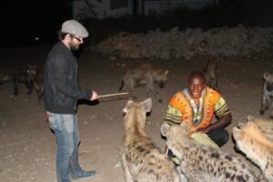Ethiopia: Nightlife in Harar Hyenas are the main attraction at nightfall in Harar, Ethiopia.