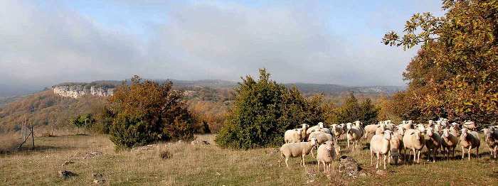 Causses et Cevennes