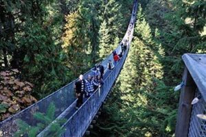 British Columbia: Victoria, Tofino, Vancouver british-columbia-victoria