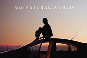 Phenomenal: Searching for Wonder in Sweden phenomenal2