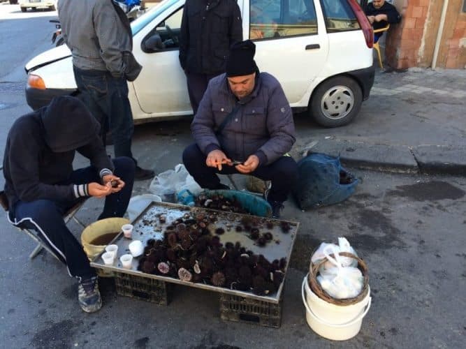 Sea urchins for sale in Sicily.