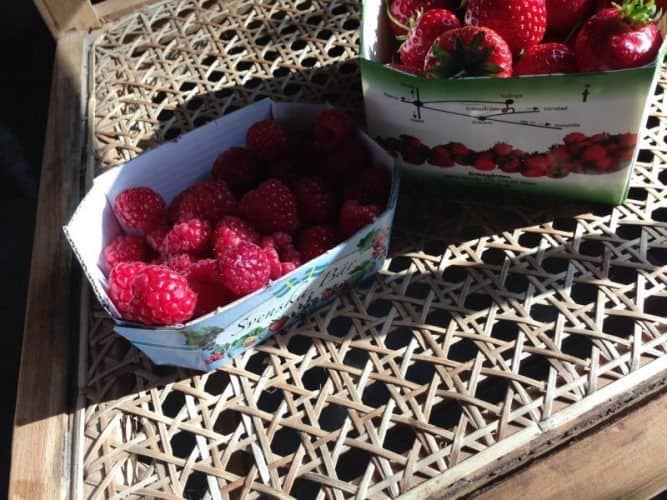 Berries at the local farmer's market