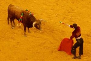 bullfight