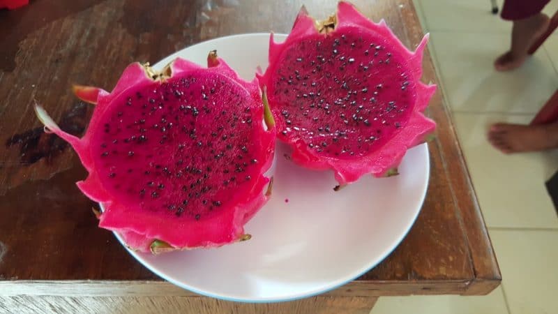 Dragon Fruit for breakfast!