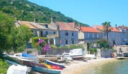 boats
