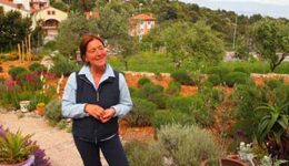 herb-garden
