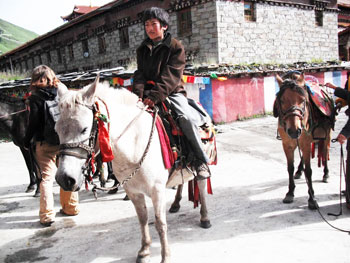 Tagong: The Wild West of Sichuan Province 6 Saddling up for a ride into the grasslands
