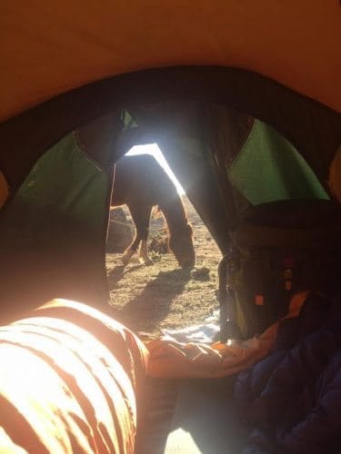 Walking Across The Rooftop of Africa: Sanetti Plateau, Ethiopia 6 tent horse