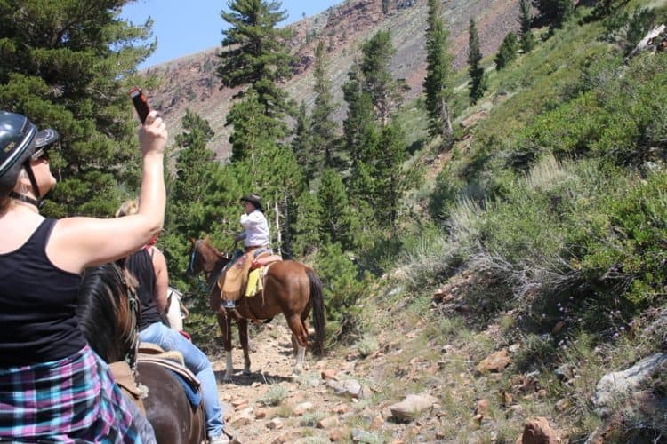 On the trail in Mammoth Lakes, California.