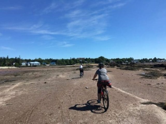 Riding our bikes out into the harbor at low tide in St. Andrews.