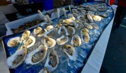 Wellfleet Oysters Surfing on Ice
