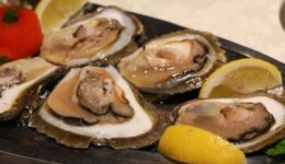 oysters_istria_fjord