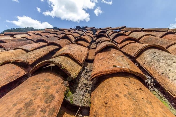 Familiar orange roof tiles in Guatemala. 