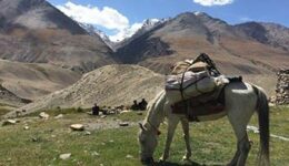 hiking-afghanistan
