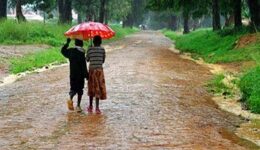 Children wading through the puddles on their way to Livingstonia town.
