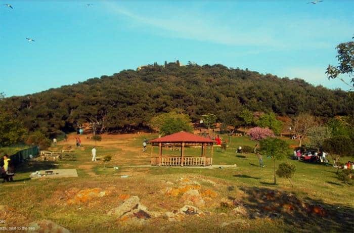 Picnic area on Heybeliada, next to the sea in Istanbul, Turkey.