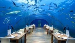 space-underwater