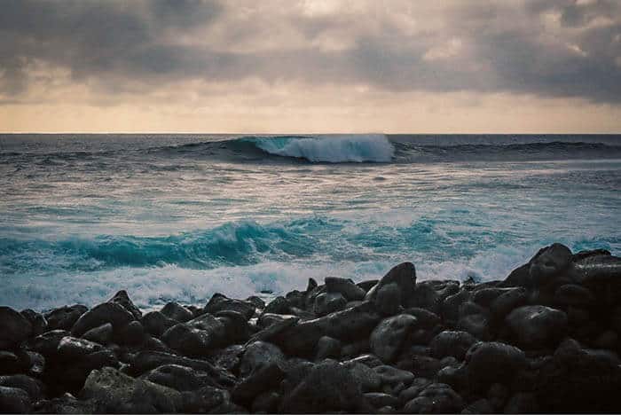 surf galapagos