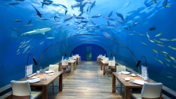 Dining in an underwater restaurant...a new trend in travel or just a fad?